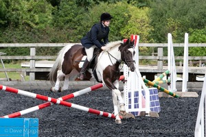 Class 3 -  Fences not above 2'3